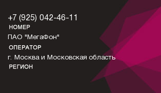 9250424611